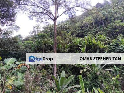 Agriculture Land with Stream @ Bukit Tinggi, Bentong, Pahang , Pahang, Bentong