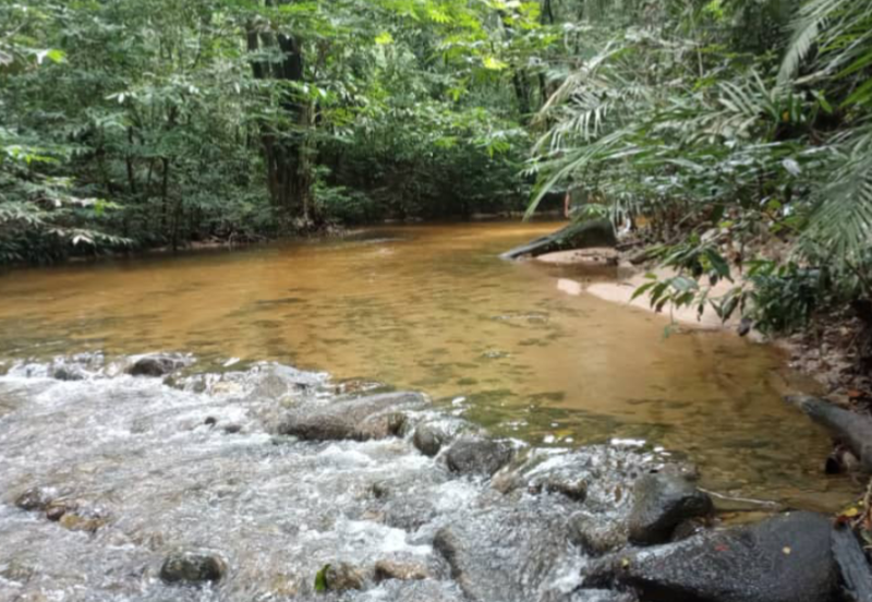 Stream Land @ Sungai Bil, Slim, Tanjung Malim, Perak 