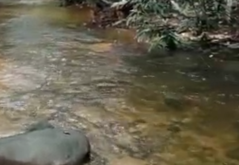 Stream Land @ Sungai Bil, Slim, Tanjung Malim, Perak 