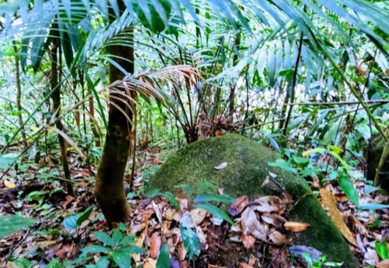 Stream Land @ Sungai Bil, Slim, Tanjung Malim, Perak 