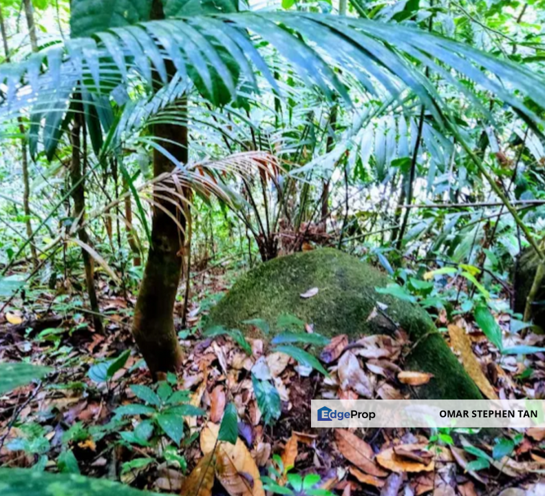 Stream Land @ Sungai Bil, Slim, Tanjung Malim, Perak , Perak, Slim River