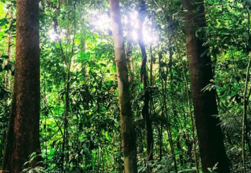 Stream Land @ Sungai Bil, Slim, Tanjung Malim, Perak 