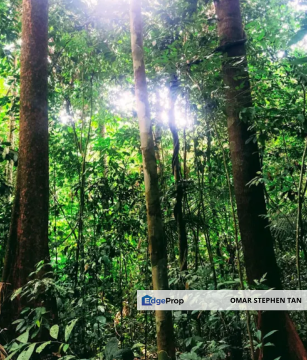 Stream Land @ Sungai Bil, Slim, Tanjung Malim, Perak , Perak, Slim River