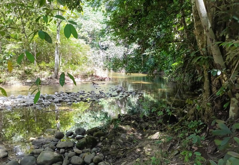 Stream Land @ Sungai Bil, Slim, Tanjung Malim, Perak 