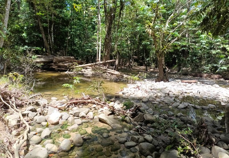 Stream Land @ Sungai Bil, Slim, Tanjung Malim, Perak 
