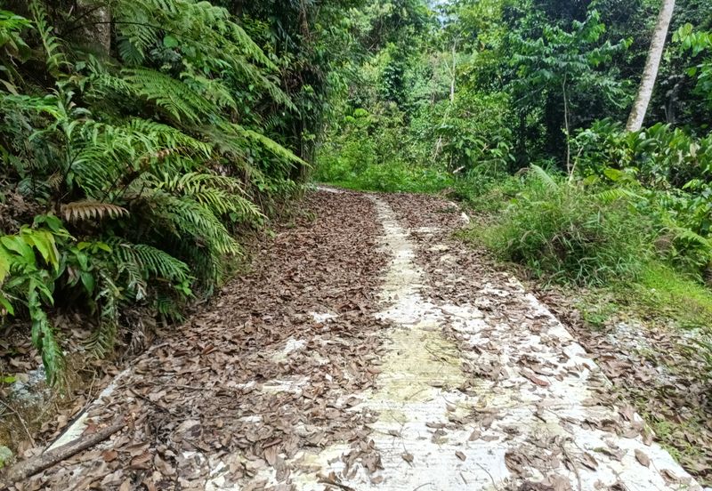 Stream Land @ Sungai Bil, Slim, Tanjung Malim, Perak 