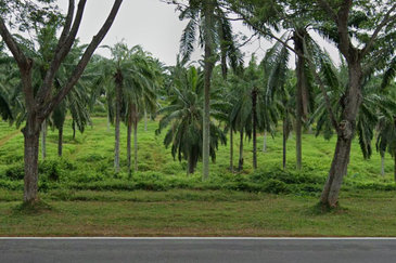 Industry Zoned Development Land @ Jasin Melaka 