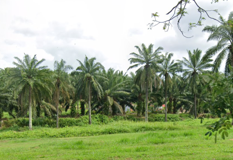 Industry Zoned Development Land @ Jasin Melaka 