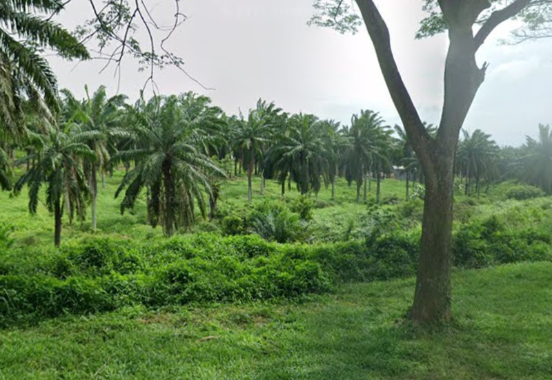 Industry Zoned Development Land @ Jasin Melaka 