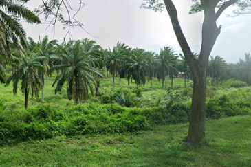 Industry Zoned Development Land @ Jasin Melaka 