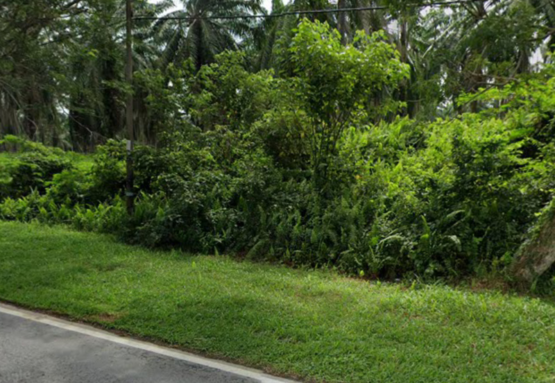 Industry Zoned Development Land @ Jasin Melaka 