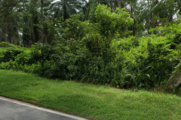 Industry Zoned Development Land @ Jasin Melaka 