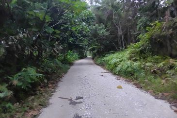 Agriculture Land @ Hulu Bernam, Tanjung Malim, Perak 