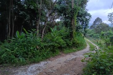 Agriculture Land @ Hulu Bernam, Tanjung Malim, Perak 