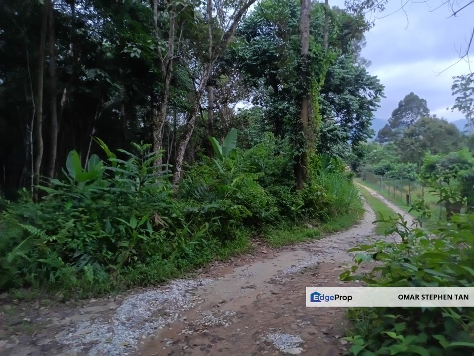 Agriculture Land @ Hulu Bernam, Tanjung Malim, Perak , Perak, Tanjung Malim