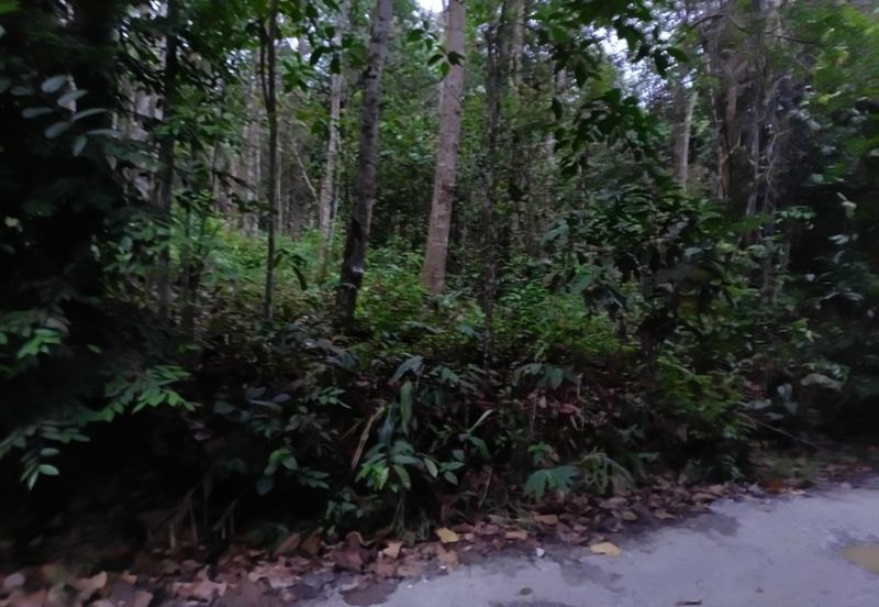 Agriculture Land @ Hulu Bernam, Tanjung Malim, Perak 