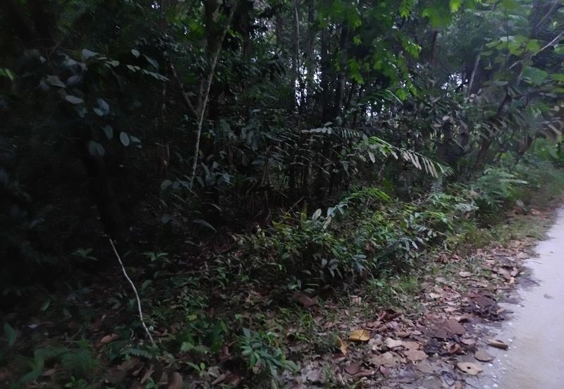 Agriculture Land @ Hulu Bernam, Tanjung Malim, Perak 