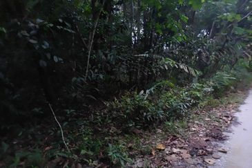 Agriculture Land @ Hulu Bernam, Tanjung Malim, Perak 