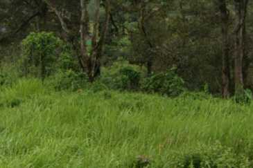 Kerling Industrial Land