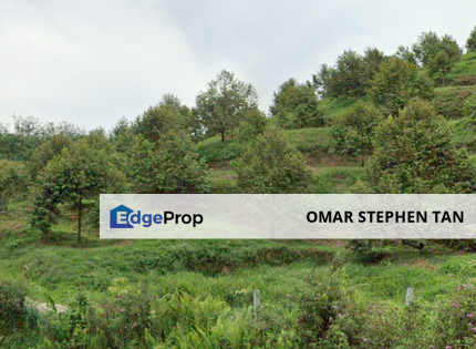 Durian Plantation @ Kerling, Hulu Selangor , Selangor, Kerling