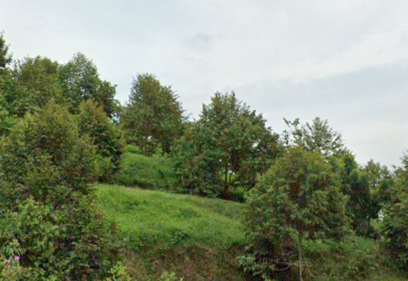 Durian Plantation @ Kerling, Hulu Selangor 