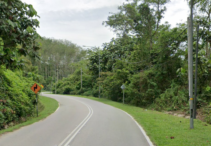 Durian Plantation @ Kerling, Hulu Selangor 