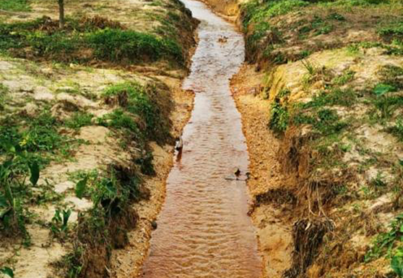 Durian Plantation @ Kerling, Hulu Selangor 