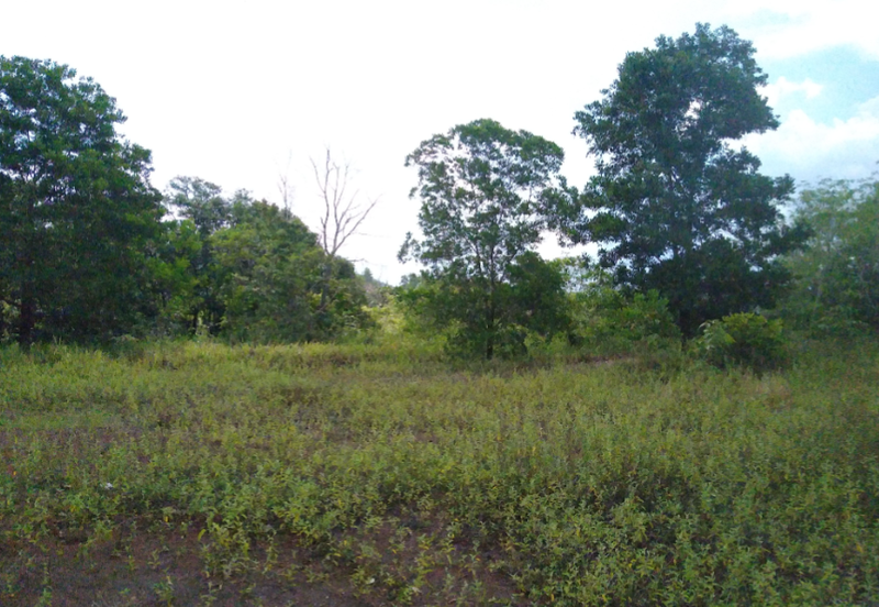 Development Land @ Gambang Highway, Kuantan, Pahang 