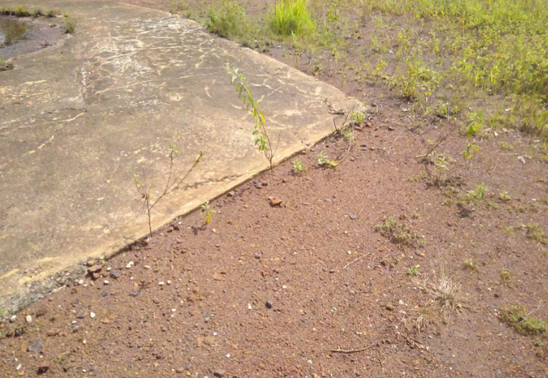 Development Land @ Gambang Highway, Kuantan, Pahang 