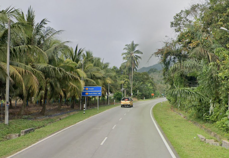Coconut Culture Land for Sale @ Johol, Kuala Pilah, Negeri Sembilan 