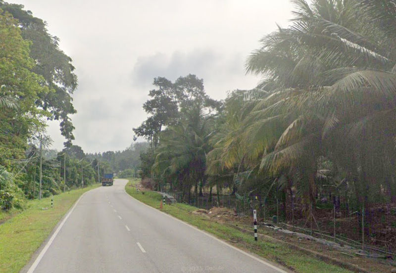 Coconut Culture Land for Sale @ Johol, Kuala Pilah, Negeri Sembilan 