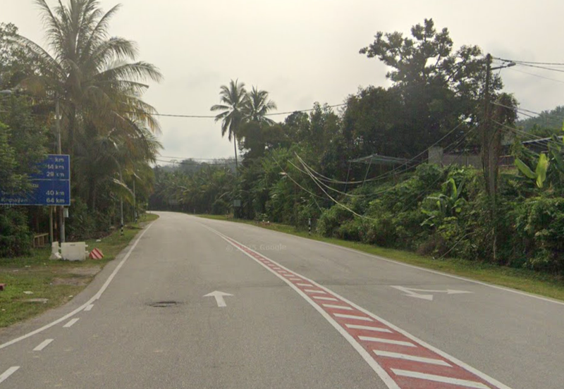 Coconut Culture Land for Sale @ Johol, Kuala Pilah, Negeri Sembilan 