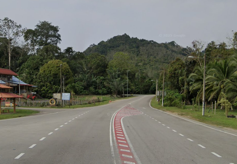 Coconut Culture Land for Sale @ Johol, Kuala Pilah, Negeri Sembilan 