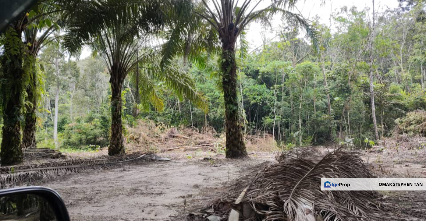 Agriculture Land @ Hulu Bernam, Tanjung Malim, Perak , Perak, Tanjung Malim