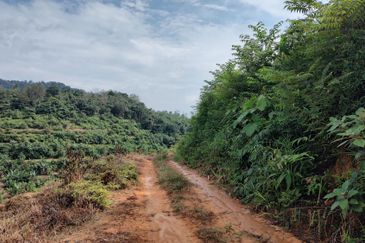 Agriculture Hilly Land @ Kerling Hulu Selangor 
