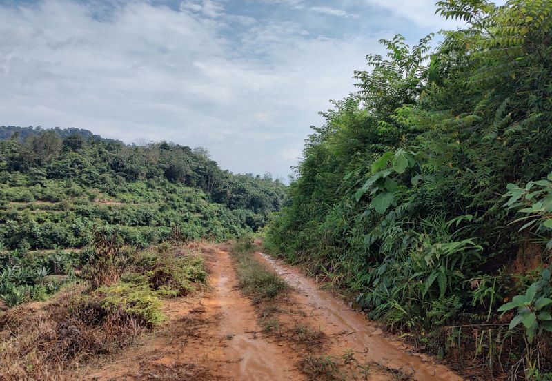 Agriculture Hilly Land @ Kerling Hulu Selangor 