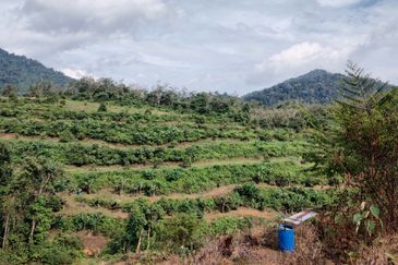 Agriculture Hilly Land @ Kerling Hulu Selangor 