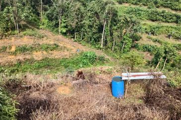 Agriculture Hilly Land @ Kerling Hulu Selangor 