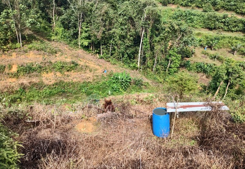 Agriculture Hilly Land @ Kerling Hulu Selangor 