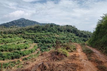 Agriculture Hilly Land @ Kerling Hulu Selangor 