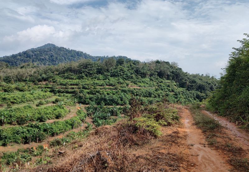 Agriculture Hilly Land @ Kerling Hulu Selangor 