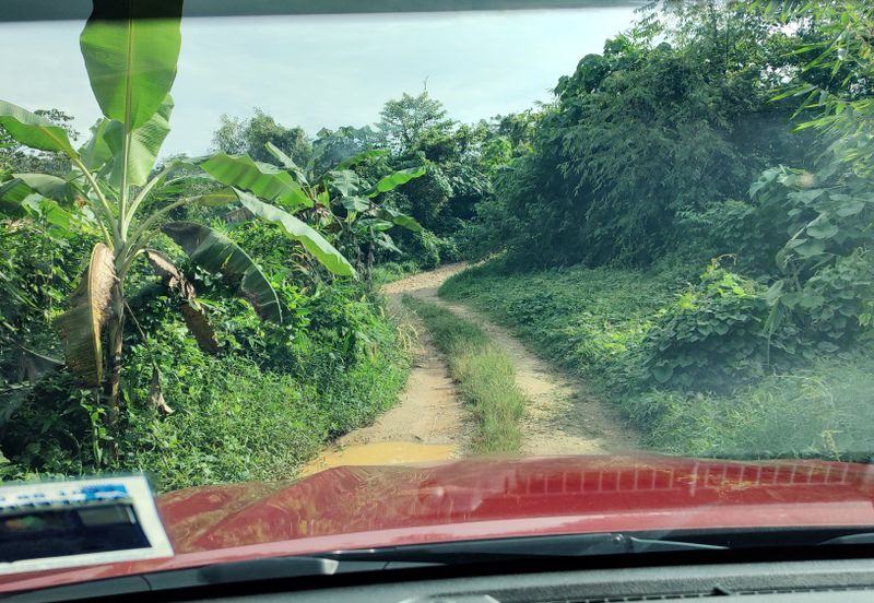 Agriculture Hilly Land @ Kerling Hulu Selangor 