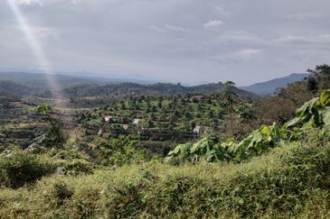 Agriculture Hilly Land @ Kerling Hulu Selangor 
