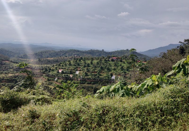 Agriculture Hilly Land @ Kerling Hulu Selangor 