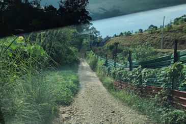 Agriculture Hilly Land @ Kerling Hulu Selangor 