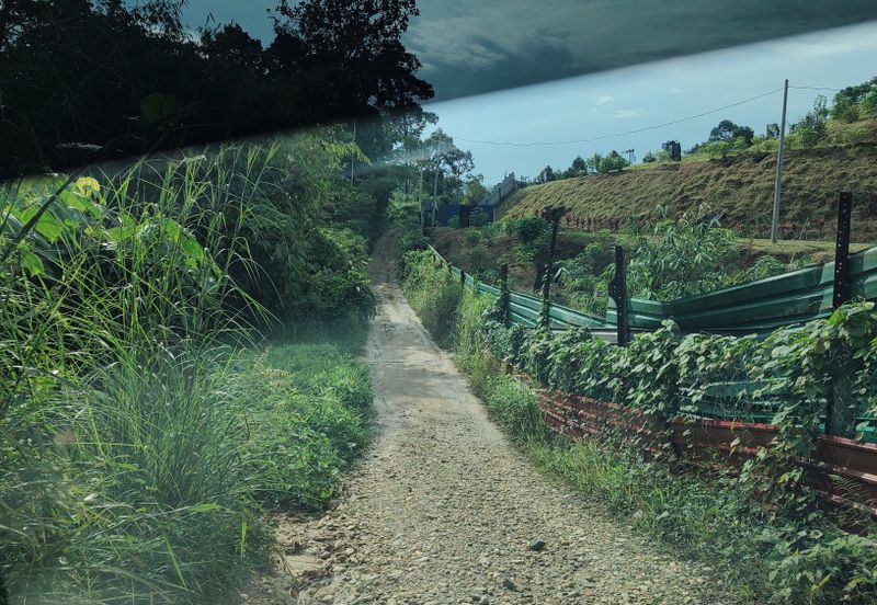 Agriculture Hilly Land @ Kerling Hulu Selangor 