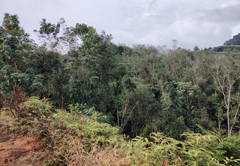 Agriculture Hilly Land @ Kerling Hulu Selangor 