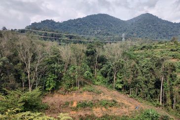 Agriculture Hilly Land @ Kerling Hulu Selangor 