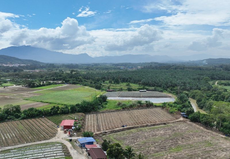 Agriculture Land @ Batang Kali, Hulu Selangor 