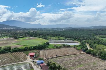 Agriculture Land @ Batang Kali, Hulu Selangor 